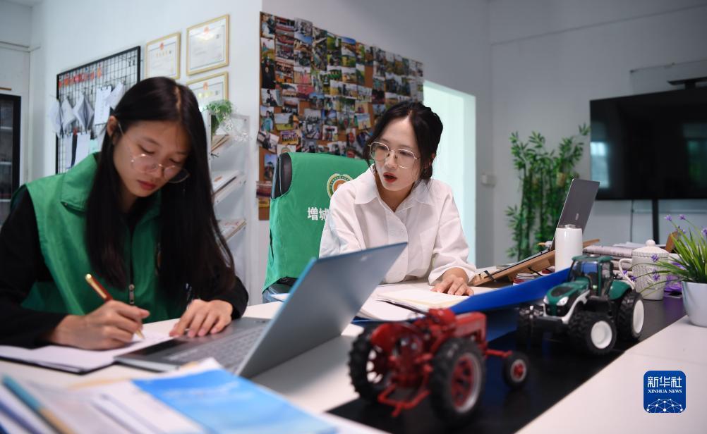 新澳门游戏网站入口